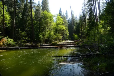 DSC_2412 (Large).JPG